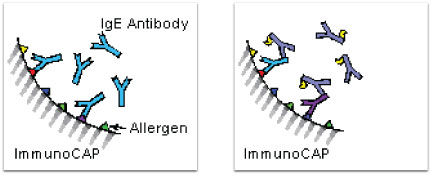 immunocap